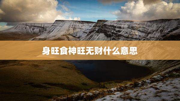 身旺食神旺无财什么意思