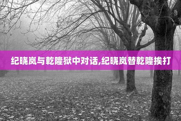 纪晓岚与乾隆狱中对话,纪晓岚替乾隆挨打