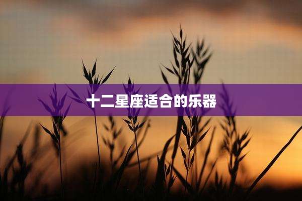 十二星座适合的乐器
