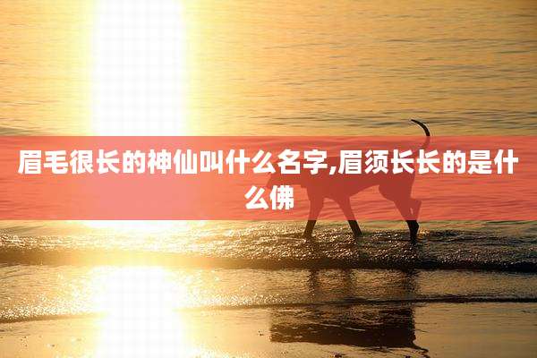 眉毛很长的神仙叫什么名字,眉须长长的是什么佛