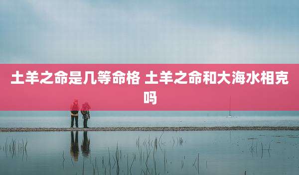 土羊之命是几等命格 土羊之命和大海水相克吗
