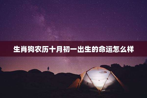 生肖狗农历十月初一出生的命运怎么样