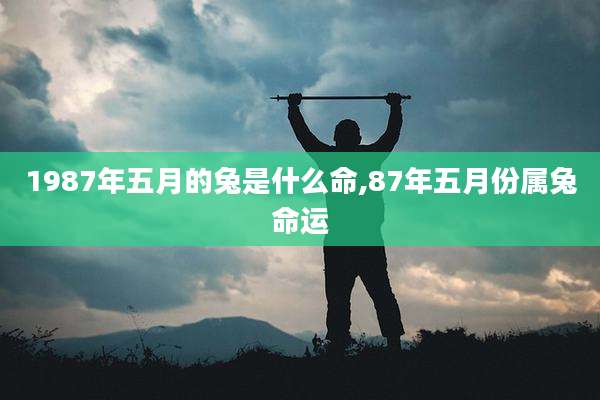 1987年五月的兔是什么命,87年五月份属兔命运