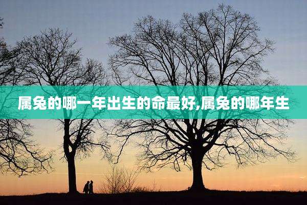 属兔的哪一年出生的命最好,属兔的哪年生