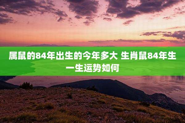 属鼠的84年出生的今年多大 生肖鼠84年生一生运势如何