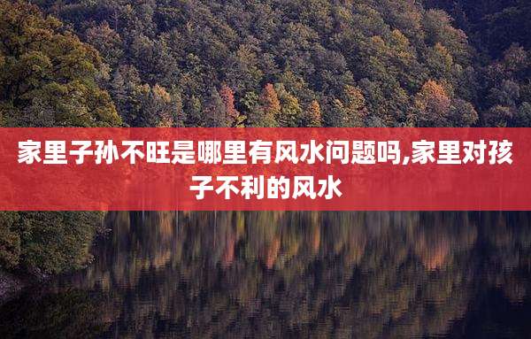 家里子孙不旺是哪里有风水问题吗,家里对孩子不利的风水