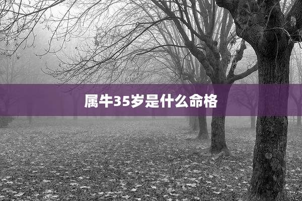 属牛35岁是什么命格