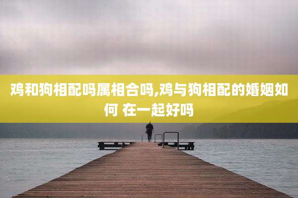 鸡和狗相配吗属相合吗,鸡与狗相配的婚姻如何 在一起好吗