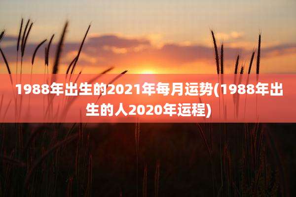 1988年出生的2021年每月运势(1988年出生的人2020年运程)