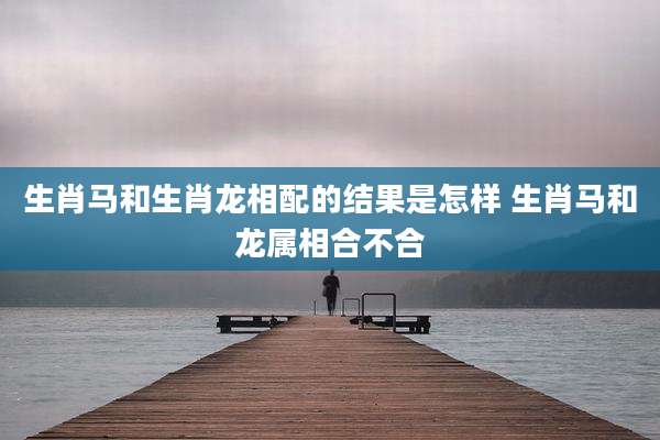 生肖马和生肖龙相配的结果是怎样 生肖马和龙属相合不合