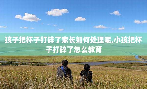 孩子把杯子打碎了家长如何处理呢,小孩把杯子打碎了怎么教育