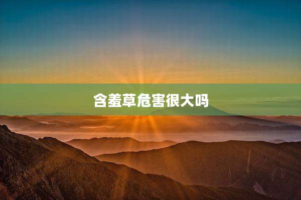 含羞草危害很大吗