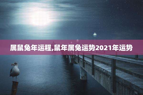 属鼠兔年运程,鼠年属兔运势2021年运势