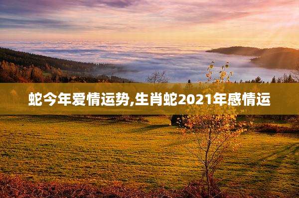 蛇今年爱情运势,生肖蛇2021年感情运