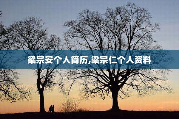 梁宗安个人简历,梁宗仁个人资料