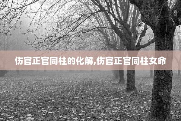 伤官正官同柱的化解,伤官正官同柱女命