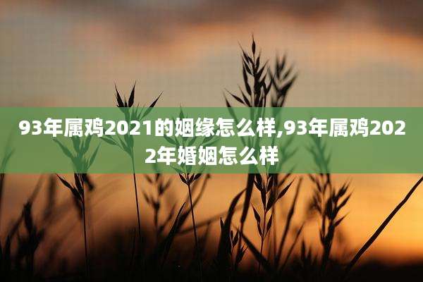93年属鸡2021的姻缘怎么样,93年属鸡2022年婚姻怎么样