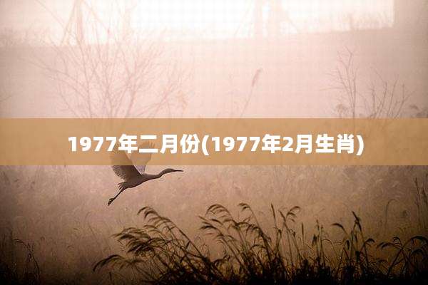 1977年二月份(1977年2月生肖)