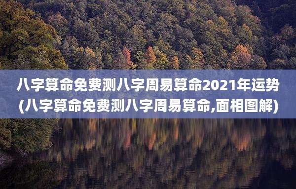 八字算命免费测八字周易算命2021年运势(八字算命免费测八字周易算命,面相图解)