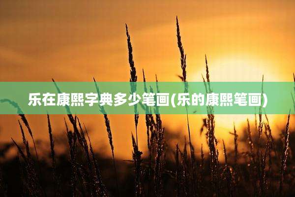 乐在康熙字典多少笔画(乐的康熙笔画)