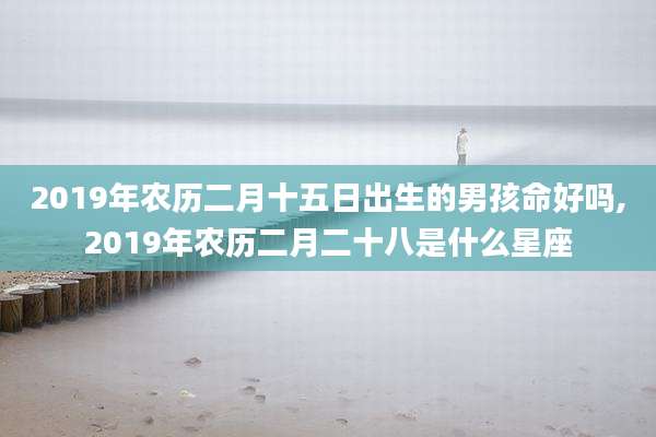 2019年农历二月十五日出生的男孩命好吗,2019年农历二月二十八是什么星座