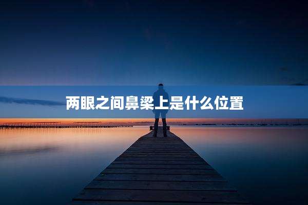两眼之间鼻梁上是什么位置
