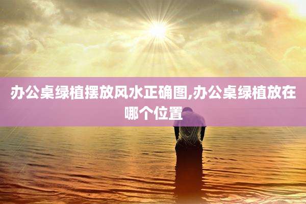 办公桌绿植摆放风水正确图,办公桌绿植放在哪个位置