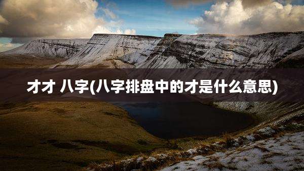 才才 八字(八字排盘中的才是什么意思)