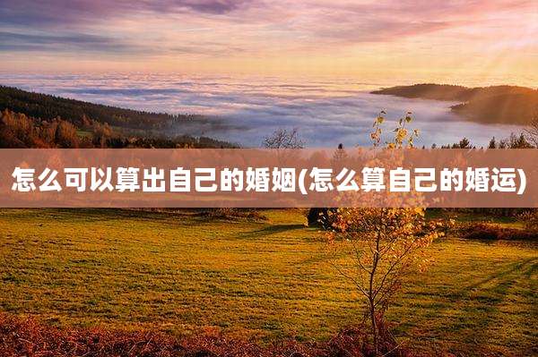 怎么可以算出自己的婚姻(怎么算自己的婚运)