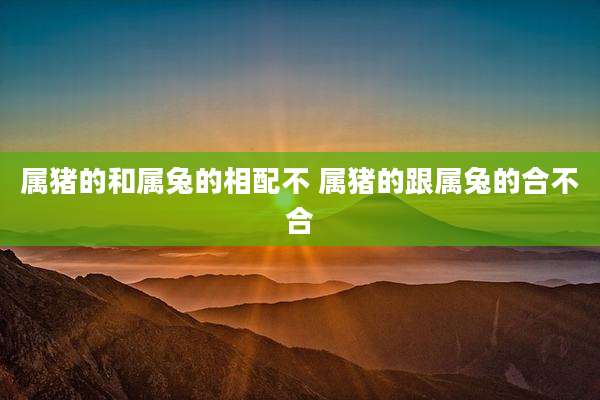 属猪的和属兔的相配不 属猪的跟属兔的合不合