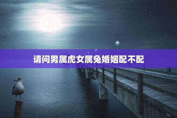 请问男属虎女属兔婚姻配不配