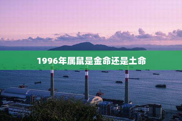 1996年属鼠是金命还是土命
