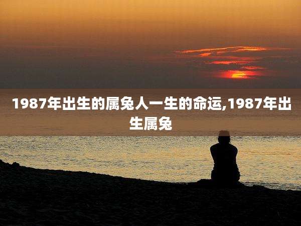 1987年出生的属兔人一生的命运,1987年出生属兔