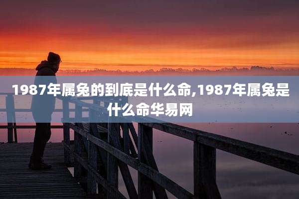 1987年属兔的到底是什么命,1987年属兔是什么命华易网