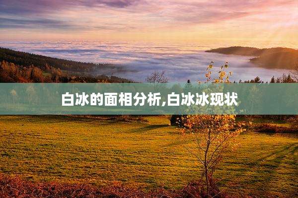 白冰的面相分析,白冰冰现状