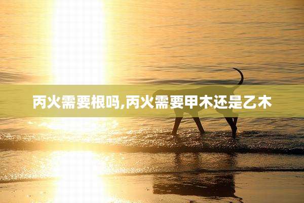 丙火需要根吗,丙火需要甲木还是乙木