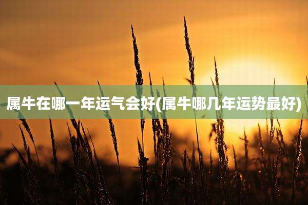 属牛在哪一年运气会好(属牛哪几年运势最好)