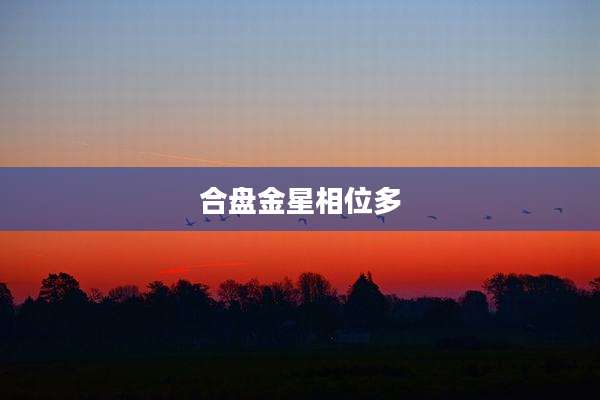 合盘金星相位多