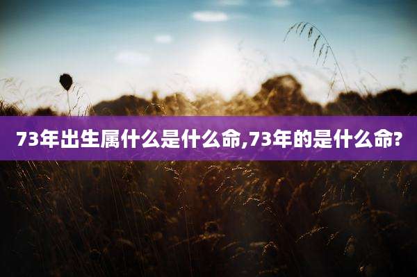 73年出生属什么是什么命,73年的是什么命?