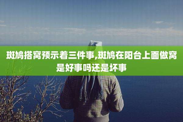 斑鸠搭窝预示着三件事,斑鸠在阳台上面做窝是好事吗还是坏事