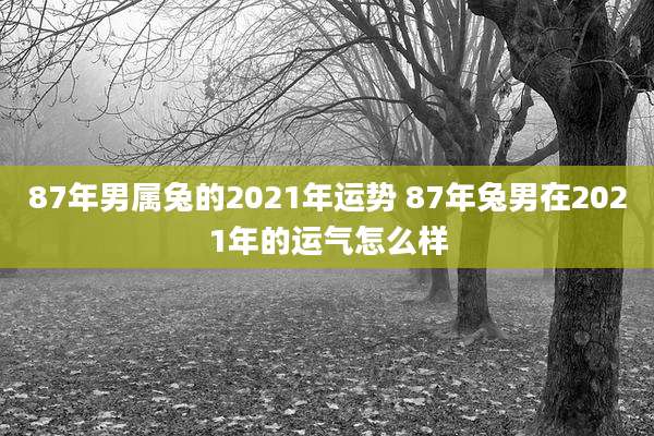 87年男属兔的2021年运势 87年兔男在2021年的运气怎么样