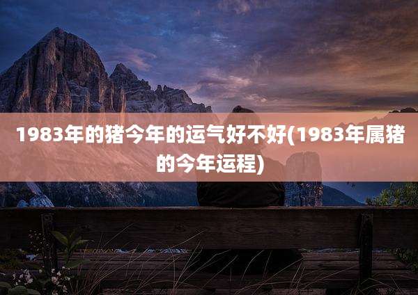 1983年的猪今年的运气好不好(1983年属猪的今年运程)