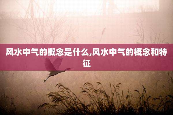 风水中气的概念是什么,风水中气的概念和特征
