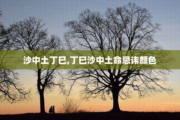 沙中土丁巳,丁巳沙中土命忌讳颜色