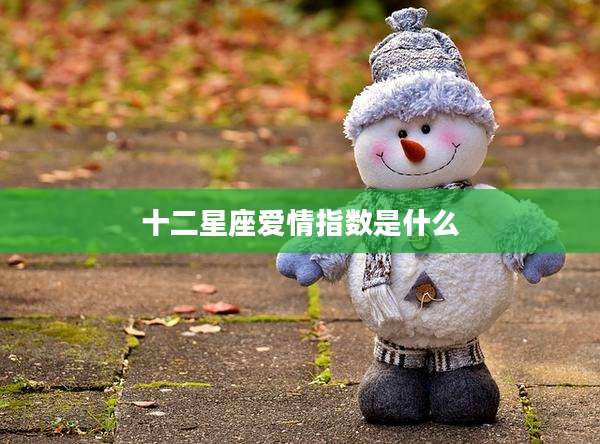 十二星座爱情指数是什么