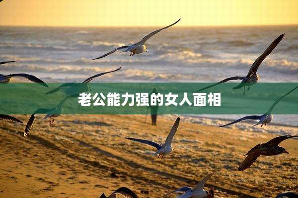老公能力强的女人面相