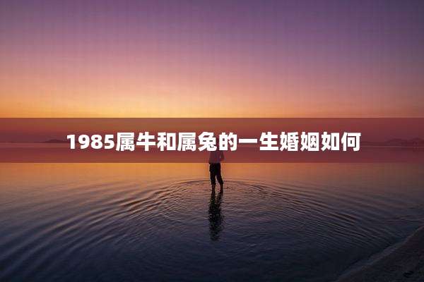 1985属牛和属兔的一生婚姻如何