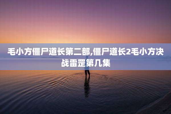 毛小方僵尸道长第二部,僵尸道长2毛小方决战雷罡第几集