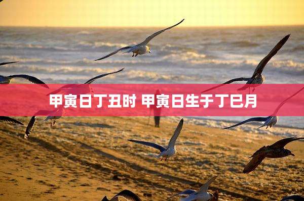甲寅日丁丑时 甲寅日生于丁巳月