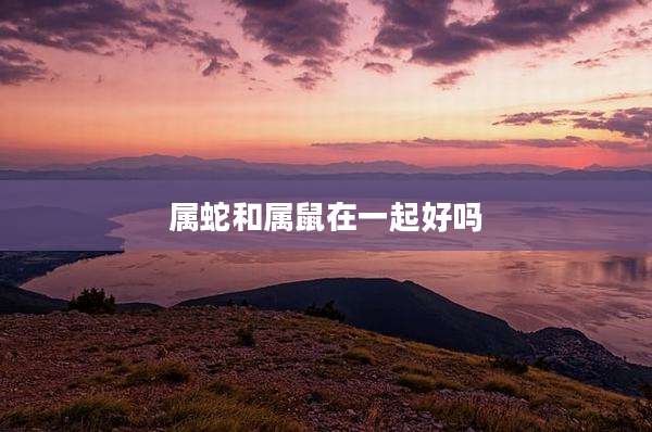 属蛇和属鼠在一起好吗